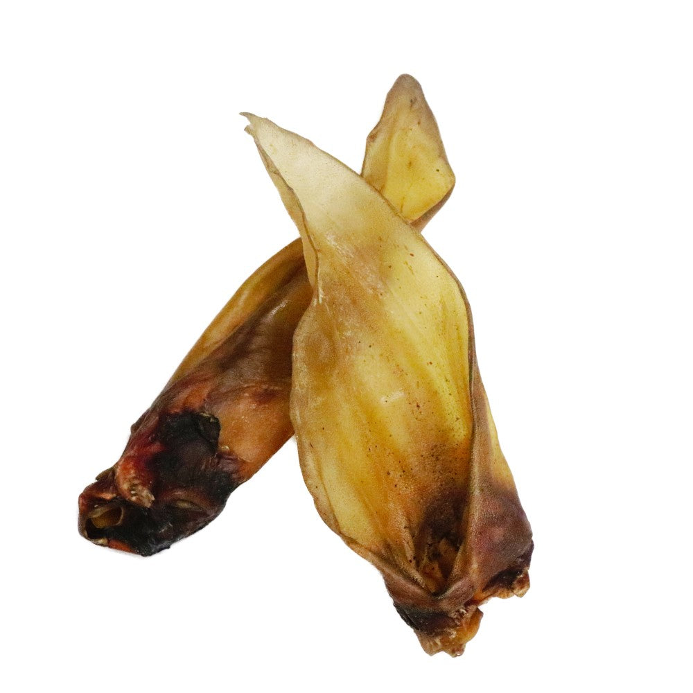 Natural Buffalo Ears