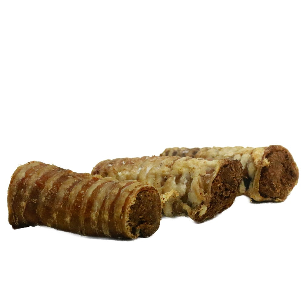 Natural Filled Trachea