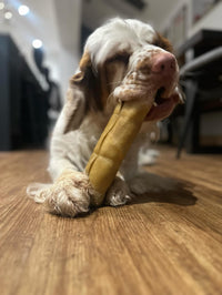 Floyd holding and chewing a premium natural buffalo roll.