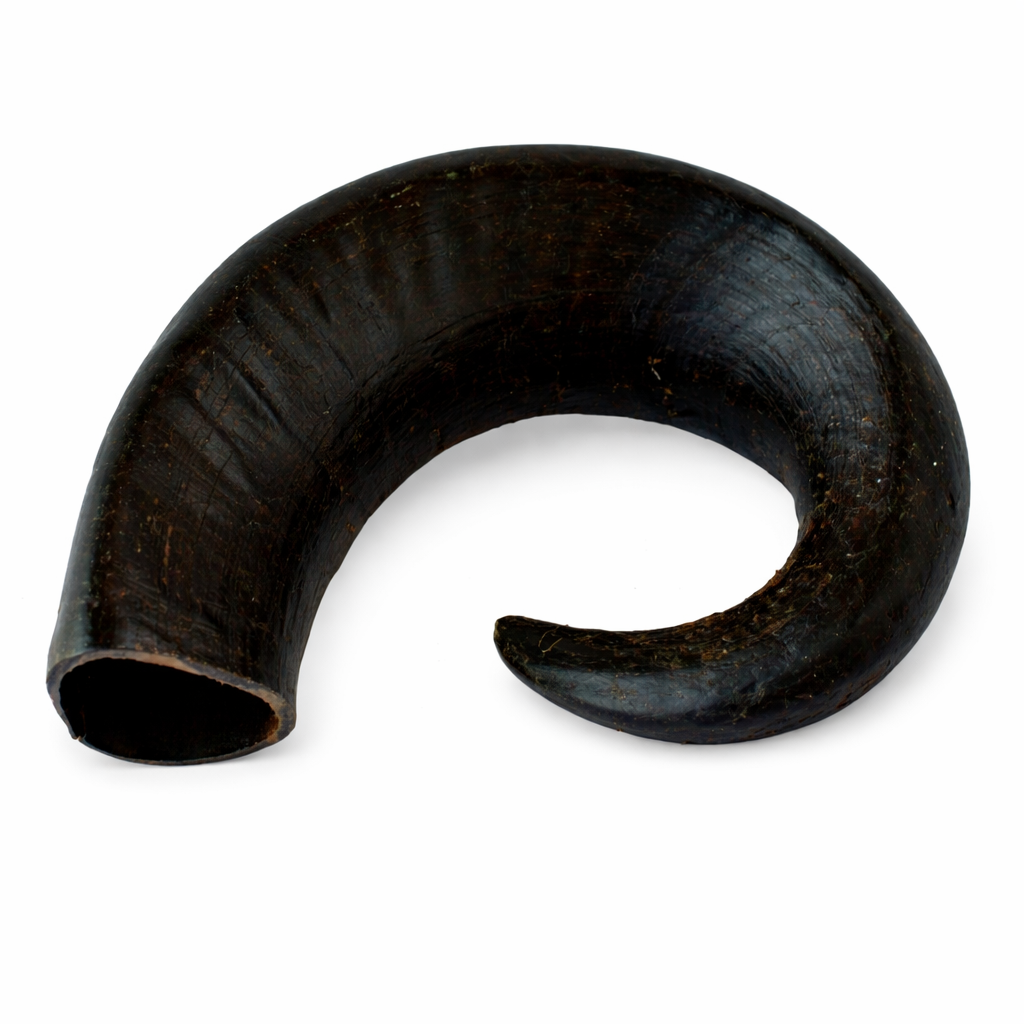 Buffalo Horn