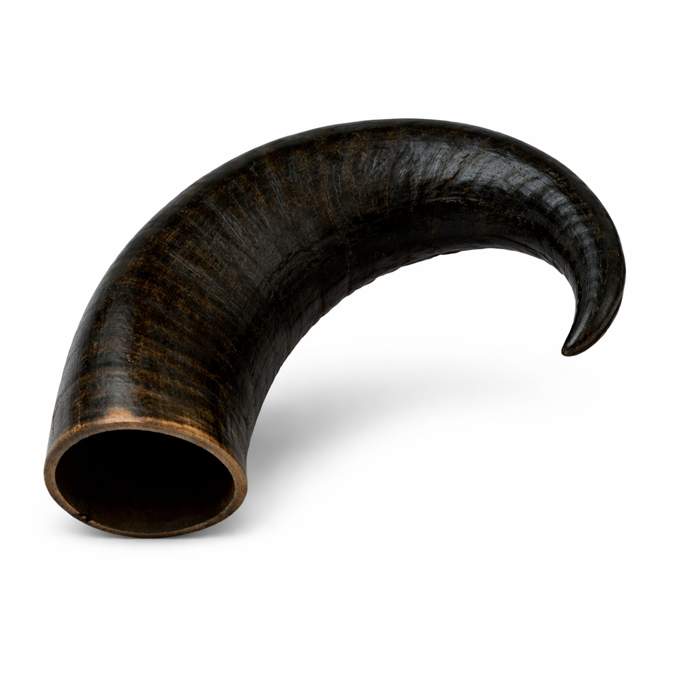 Buffalo Horn