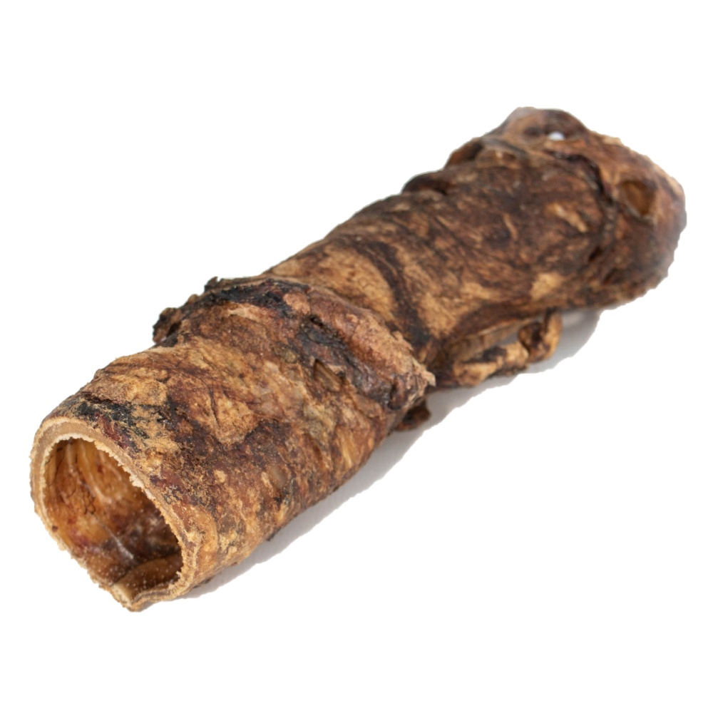 Single premium buffalo wrapped trachea dog treat.