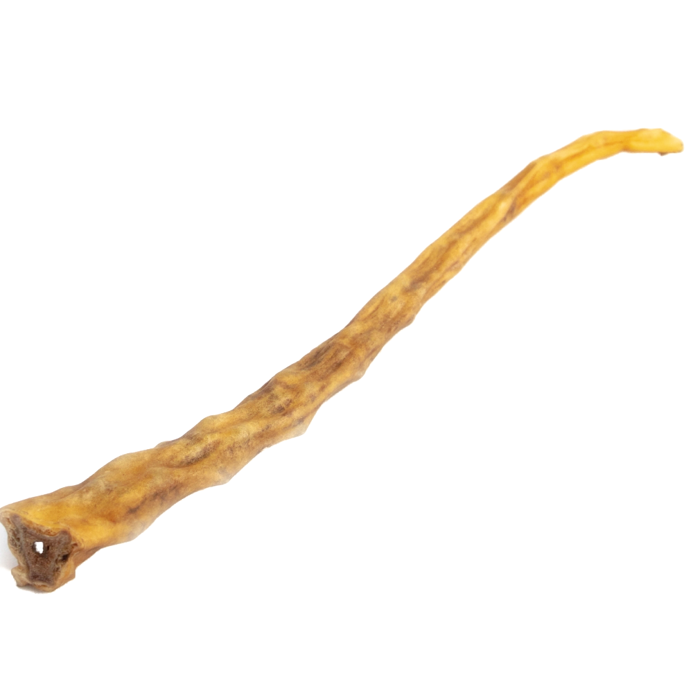 Premium natural buffalo tail dog chew.