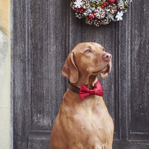 Velvet Bow Tie Christmas Red