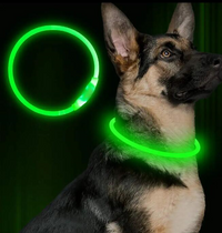 Dog wearing a green illuminated light up collar with a second green collar in the background glowing brightly for safety and visibility during walks.