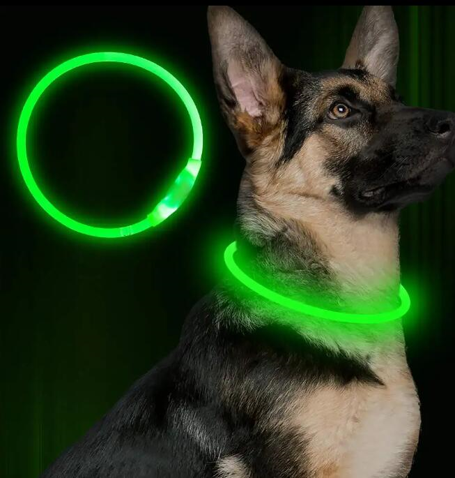 Glow Pup LED Collars