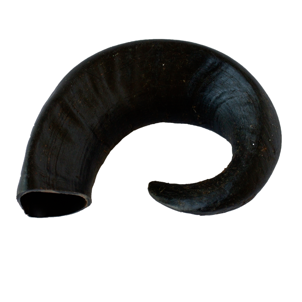 Long-lasting natural buffalo horn chew.