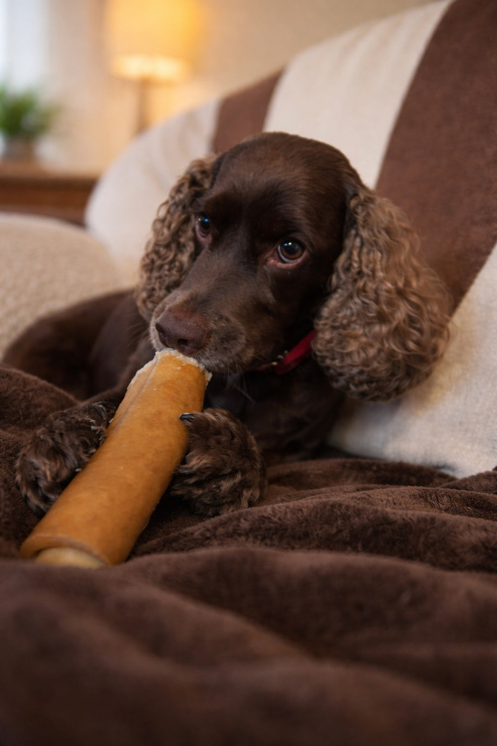 Jumbo Buffalo Skin Rolls