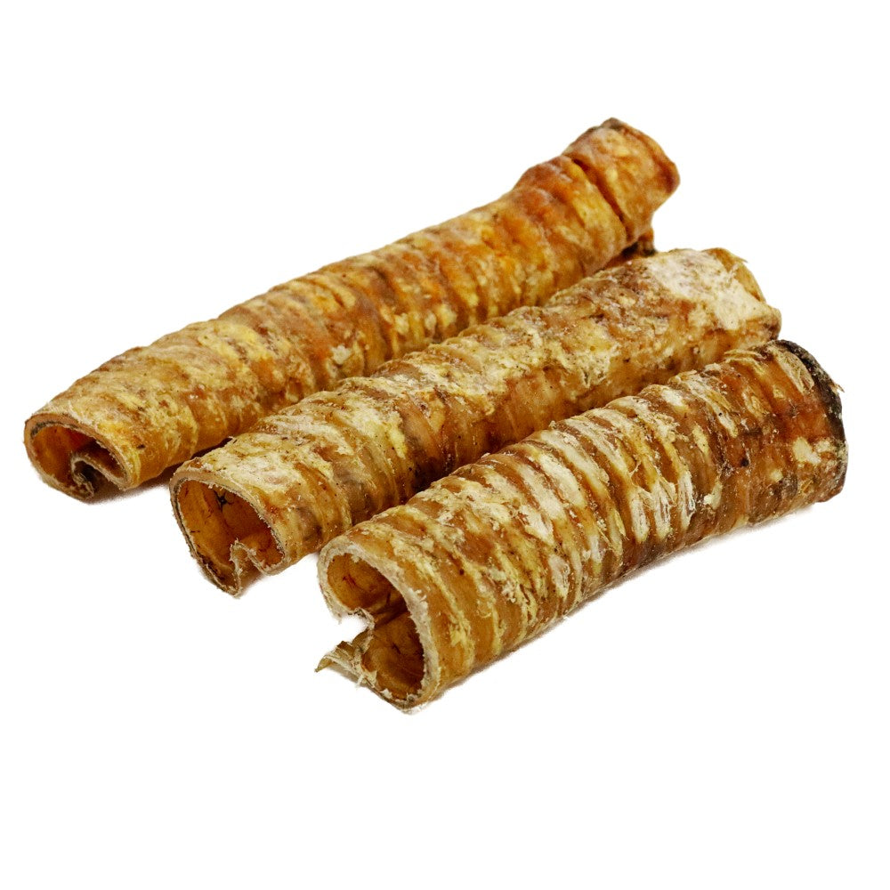 Natural beef trachea dog chew close up high protein crunchy treat for enrichment and dental chewing.