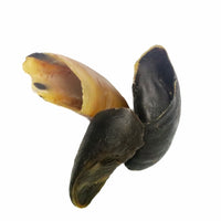 Natural cow hooves dog chew pieces high protein low fat crunchy treats for teeth and gums and chewing enrichment.