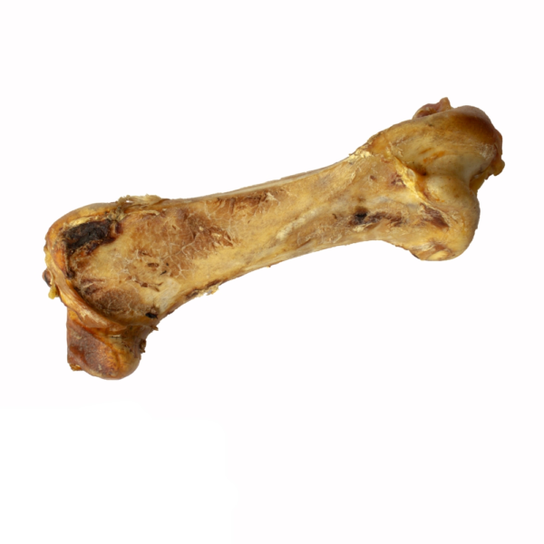 Single natural ostrich bone dog chew high protein low fat air dried treat for teeth, gums and long lasting chewing.